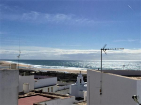 Sardinas Conil De La Frontera
